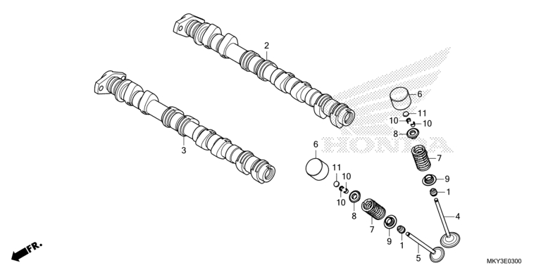 CAMSHAFT/VALVE