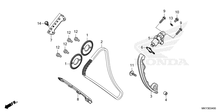 CAM CHAIN/TENSIONER