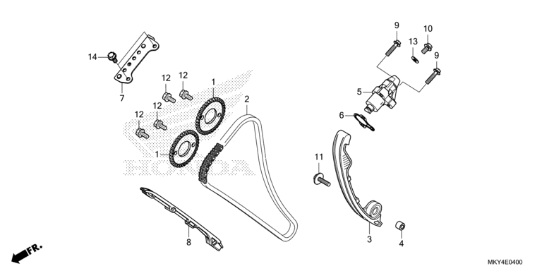 CAM CHAIN/TENSIONER