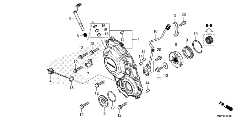 RIGHT CRANKCASE COVER