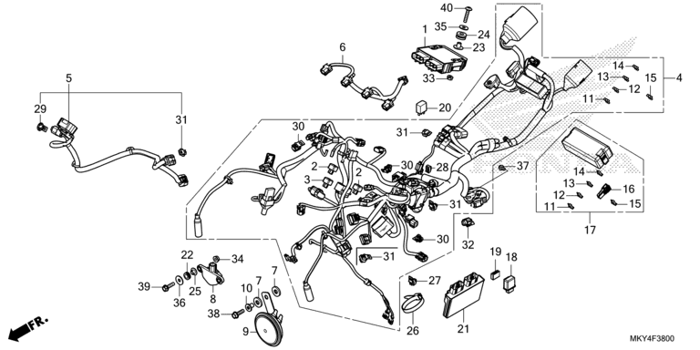 WIRE HARNESS