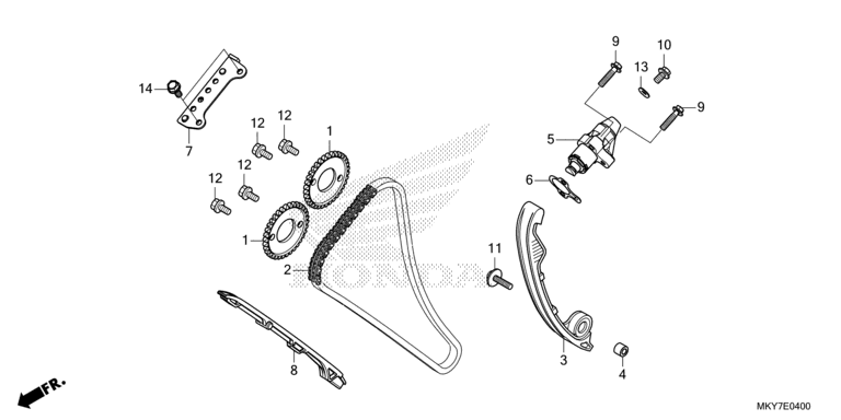 CAM CHAIN/TENSIONER