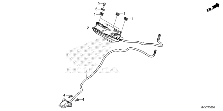 TAILLIGHT/LICENSE LIGHT