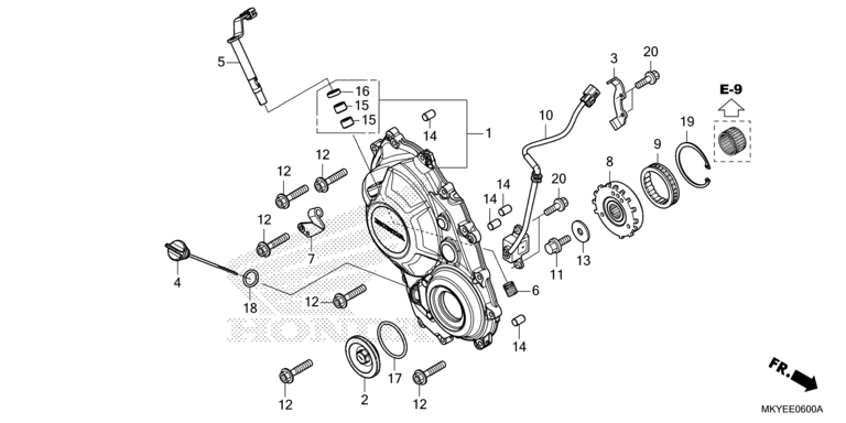 RIGHT CRANKCASE COVER