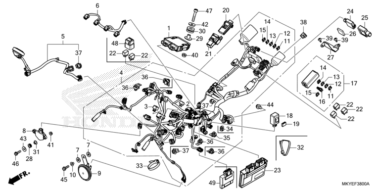 WIRE HARNESS