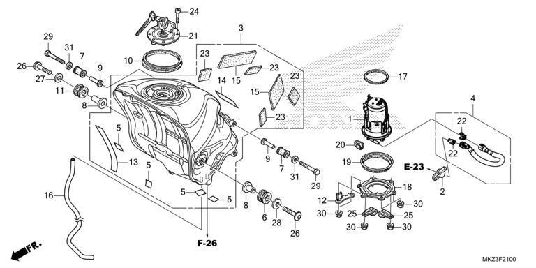 FUEL TANK/FUEL PUMP