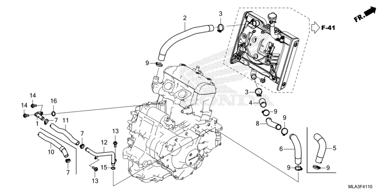 RADIATOR HOSE/WATER PIPE