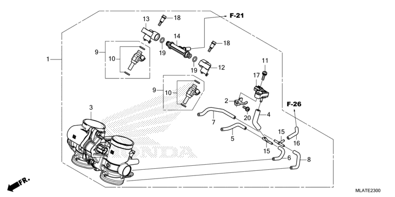 THROTTLE BODY