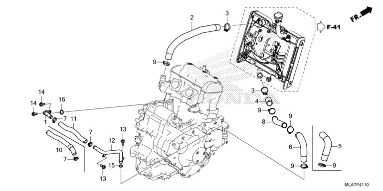 RADIATOR HOSE/WATER PIPE