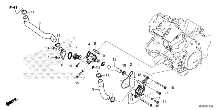 THERMOSTAT/WATER HOSE