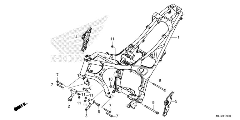 FRAME BODY