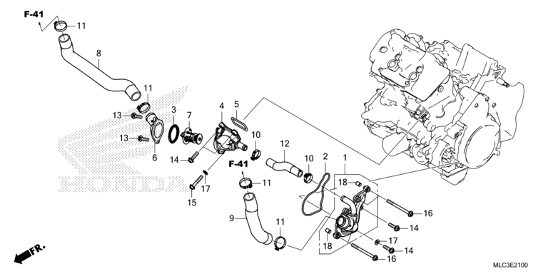 THERMOSTAT/WATER HOSE