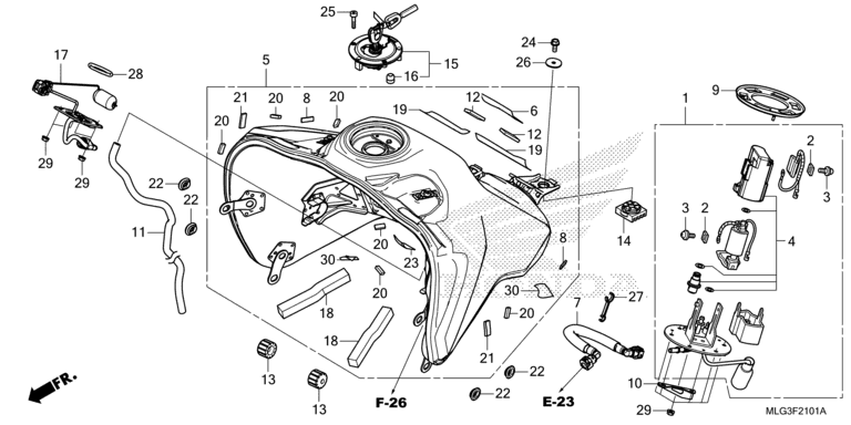 FUEL TANK/FUEL PUMP (2)