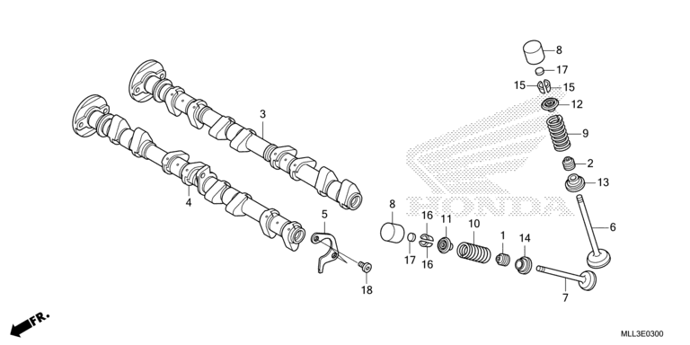 CAMSHAFT/VALVE