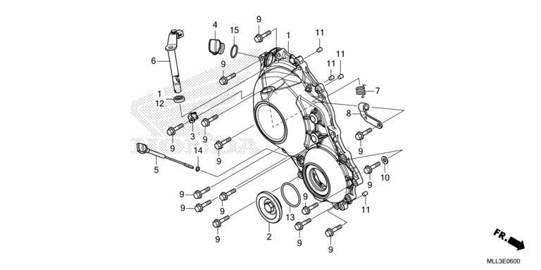 RIGHT CRANKCASE COVER