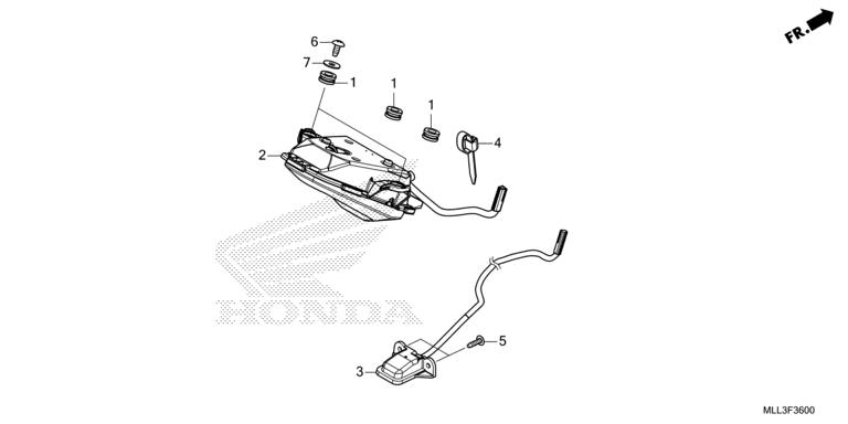 TAILLIGHT/LICENSE LIGHT