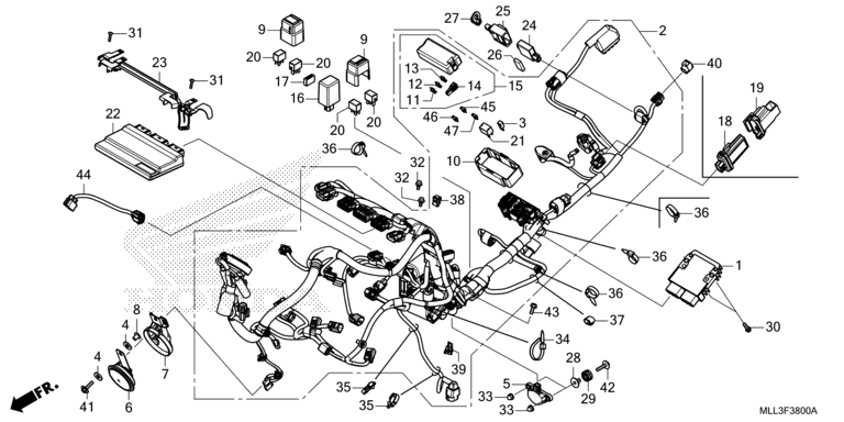 WIRE HARNESS