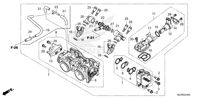 THROTTLE BODY