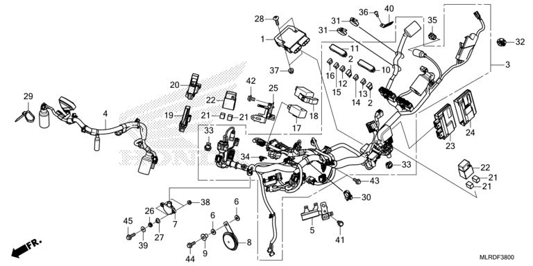 WIRE HARNESS
