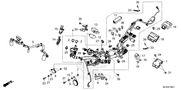 WIRE HARNESS (2)