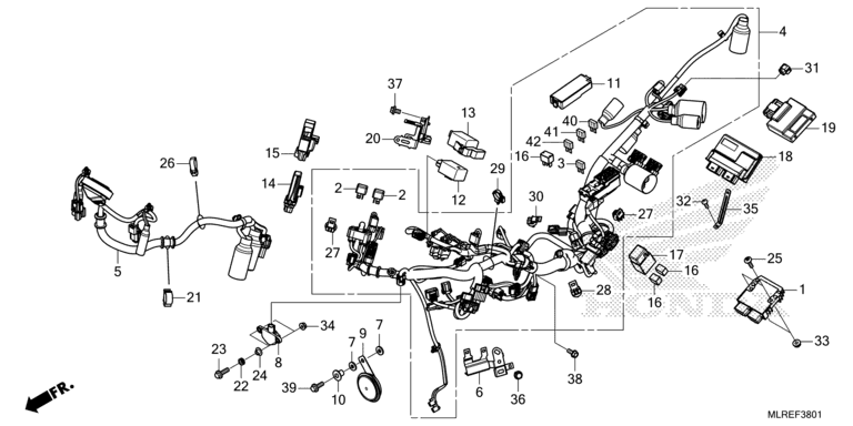 WIRE HARNESS (2)