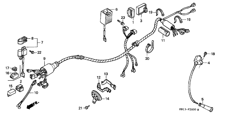 WIRE HARNESS (1)